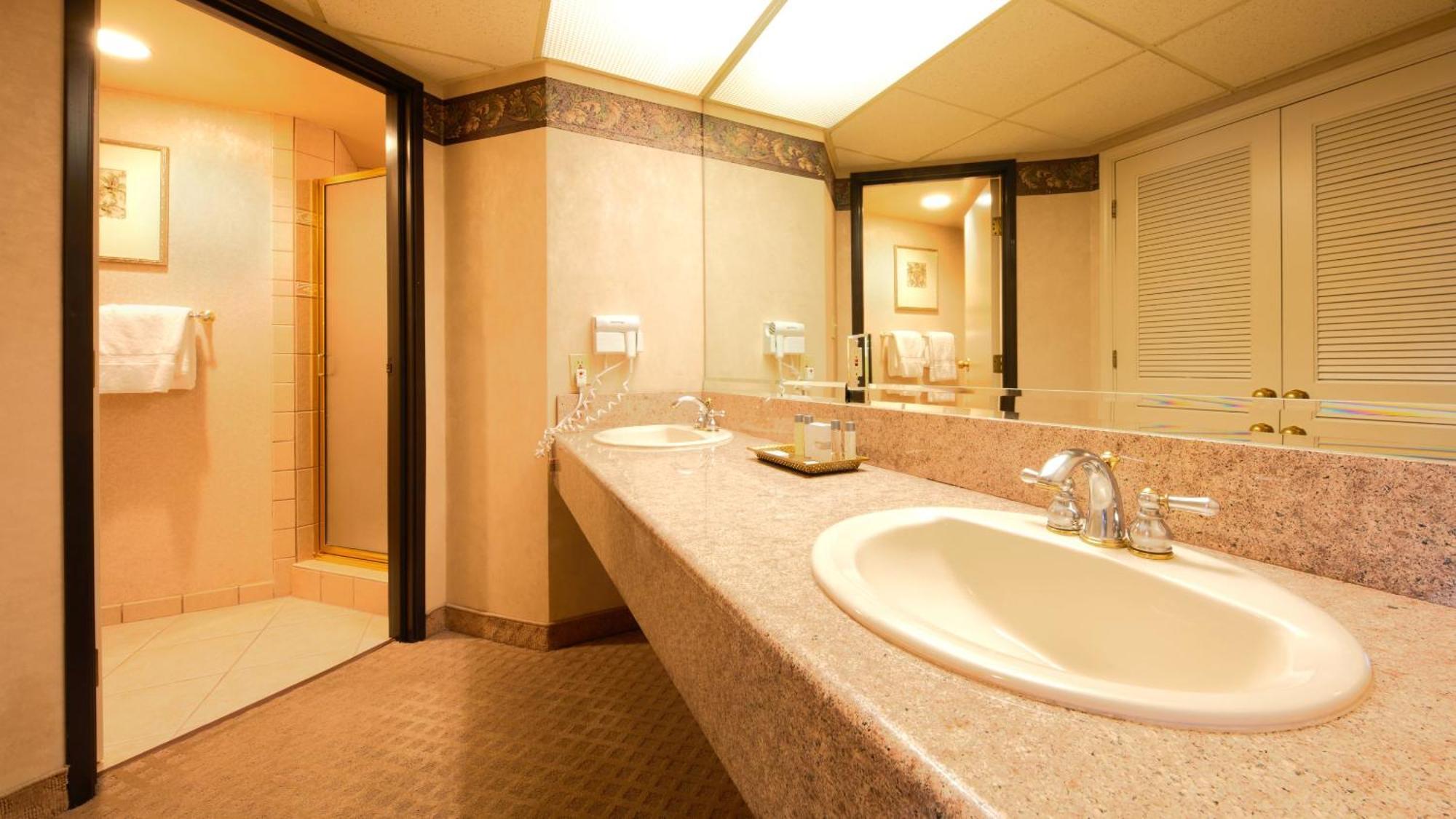 Petite Suite King Non-Smoking