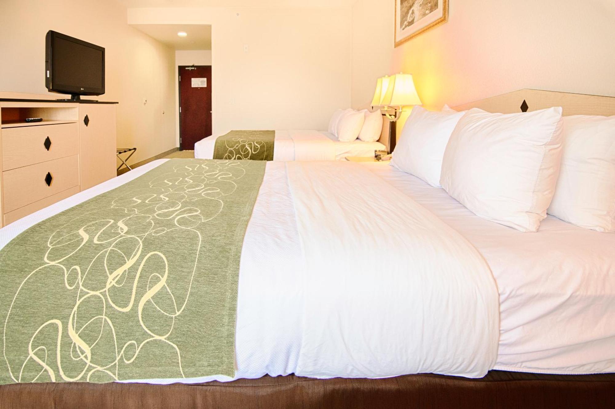 Queen Room with Two Queen Beds - Non-Smoking