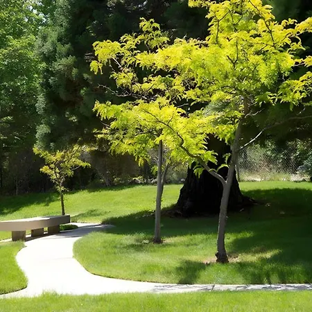 Club Lakeridge Resort-3